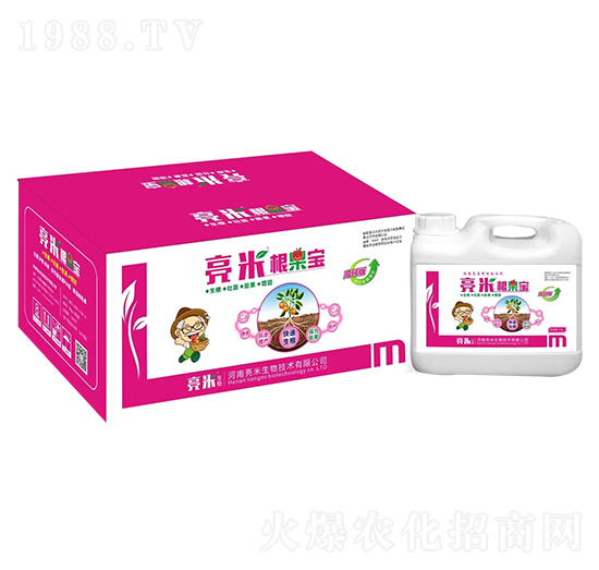 ���׸����� ��������