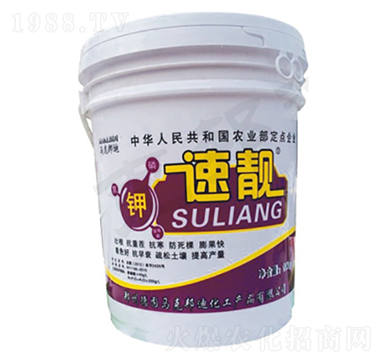 ���n-�R�˰��