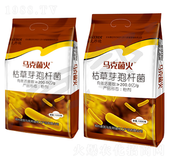 枯草芽孢桿菌-馬克菌火-馬克邦迪