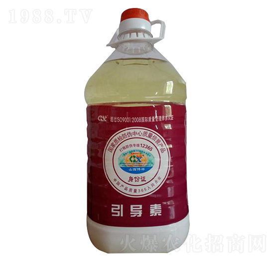 引導(dǎo)素-博祥生物