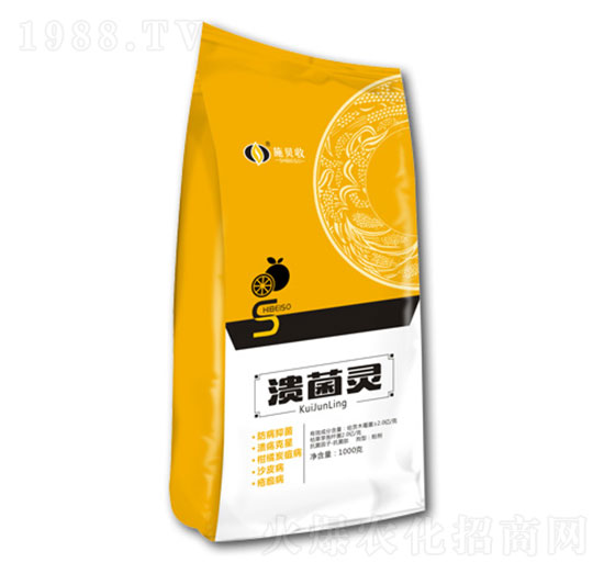 ΢������� �����` ʩؐ��