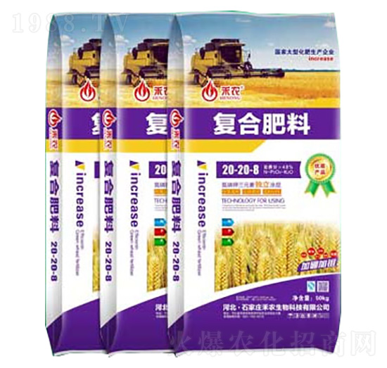 �ͺϷ���20-20-8-���r����