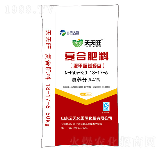 ���ȩ����͏ͺϷ���18-17-6-������-������ʢ-������