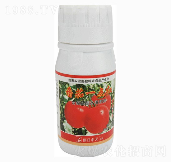 番茄專用含氨基酸水溶肥料-番茄一點(diǎn)紅-中天肥業(yè)