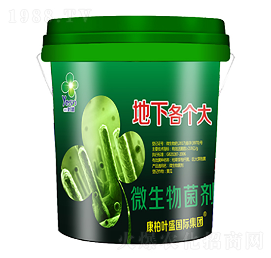 地下各個(gè)大-葉盛生物