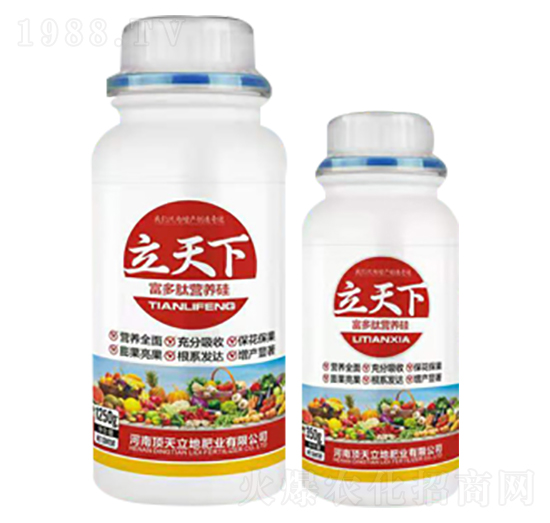 富多肽營養(yǎng)硅-立天下-頂天立地