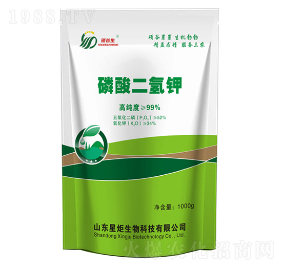 ��������-�Ǿ�����