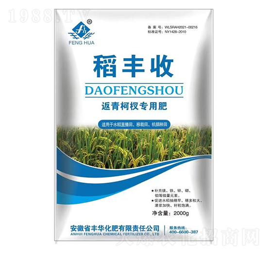 返青柯權(quán)專(zhuān)用肥-稻豐收-豐華化肥