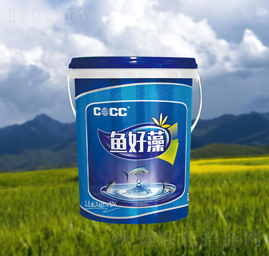 �~����-�к�����