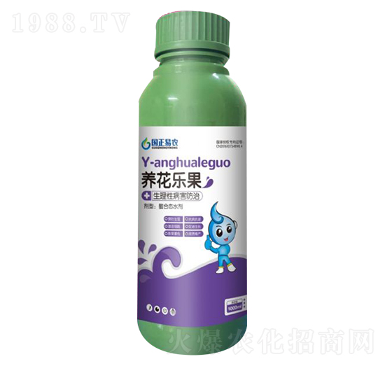 生理病害防治-養(yǎng)花樂果-國正易農(nóng)