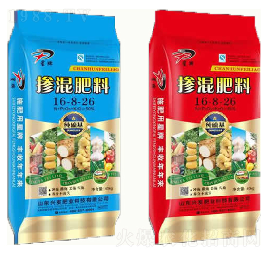 ������������16-8-26-�d�l(f��)�ʘI(y��)