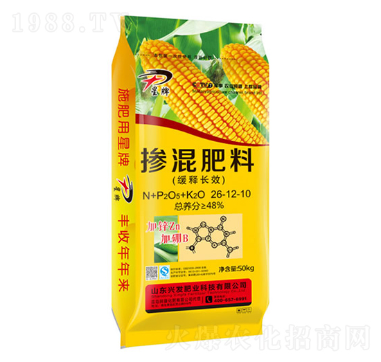 ����LЧ�������26-12-10-����-�d�l(f��)�ʘI(y��)