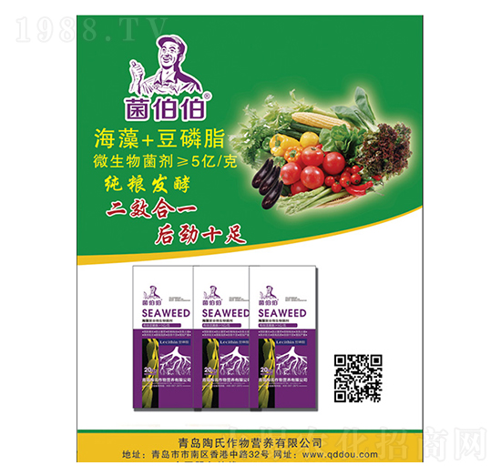 ����+����֬-������-��������