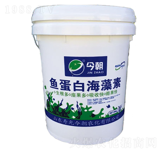 魚(yú)蛋白海藻素-今朝農(nóng)化