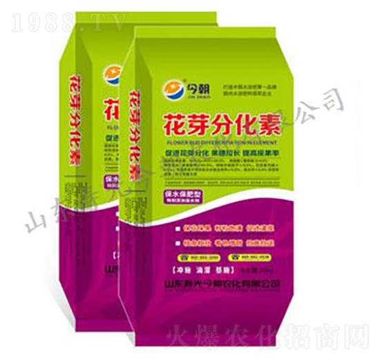 花芽分化素-今朝農(nóng)化