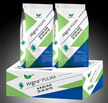 進口水溶肥19-19-19+TE-伯倫特