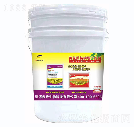 黃花菜抗病增產(chǎn)組合-綠田地-鑫禾生物