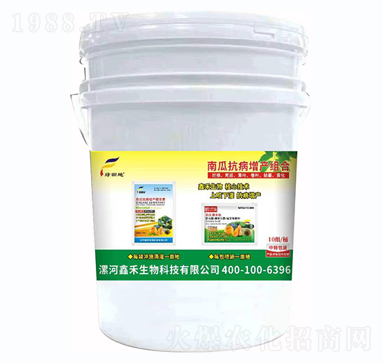 南瓜抗病增產(chǎn)組合-綠田地-鑫禾生物