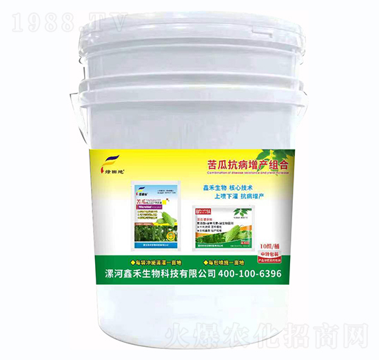 苦瓜抗病增產(chǎn)組合-綠田地-鑫禾生物