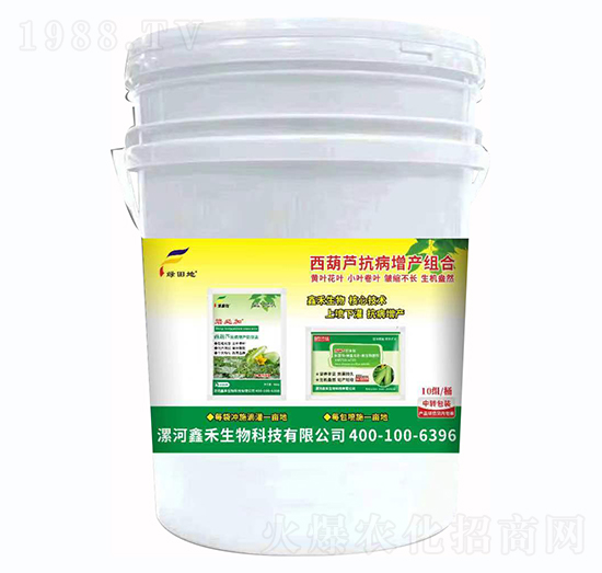 西葫蘆抗病增產(chǎn)組合-綠田地-鑫禾生物