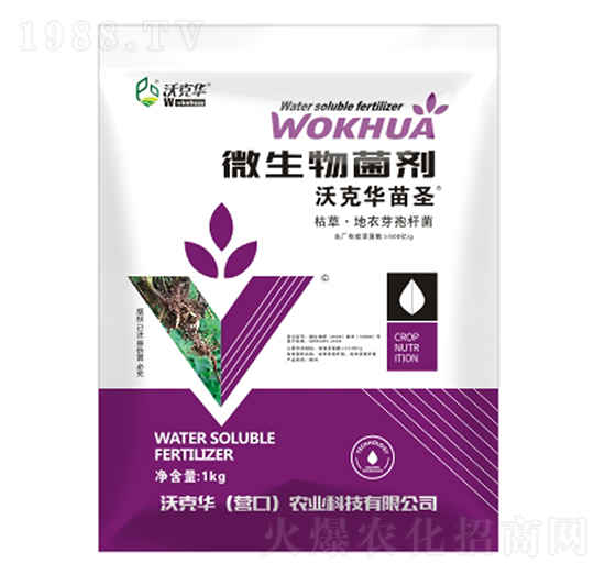 ΢�������-�ֿ��A��ʥ-�ֿ��A