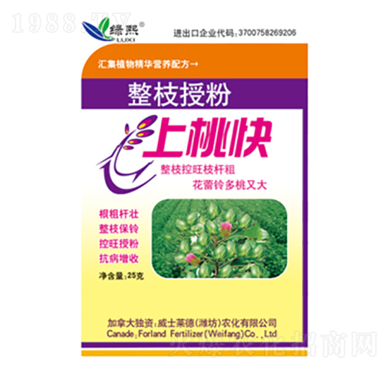 ��֦�ڷ����ҿ�-�G��-��ʿ�R��