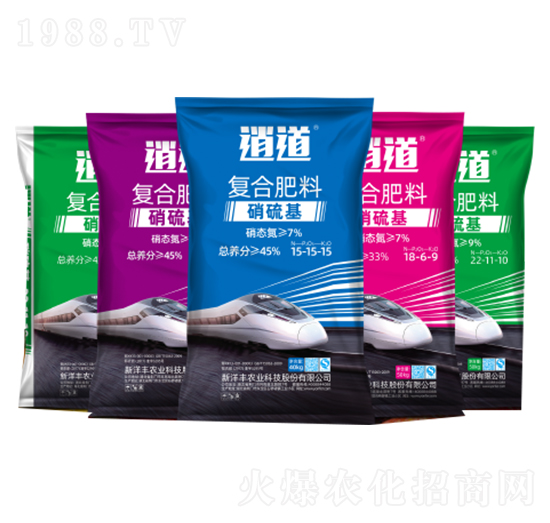 �е�������-�����S