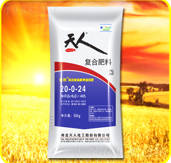 �ͺϷ���20-0-24-���˻���