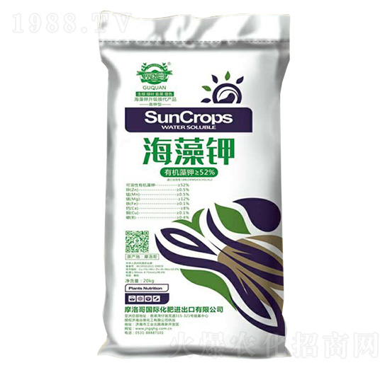 �ЙC�����-Ħ���-��Ȫ����