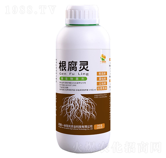 根腐靈-一米陽光