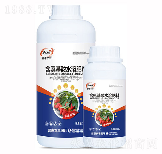 草莓需配含氨基酸水溶肥-普惠農豐