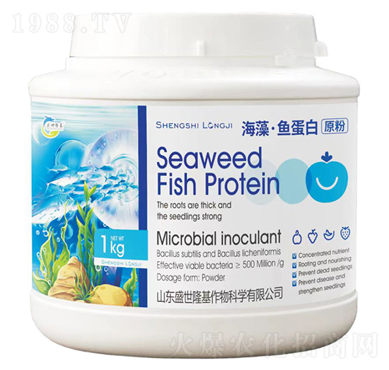 ���塤�~(y��)����ԭ��-ʢ��¡��