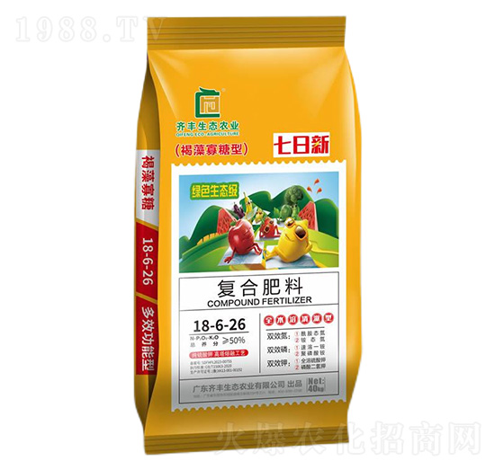 �������ں�������͏ͺϷ���18-6-26-������-�R�S�r�I(y��)