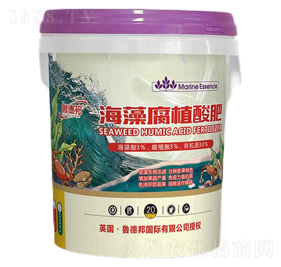 ���帯ֲ���-��?sh��)°? style=