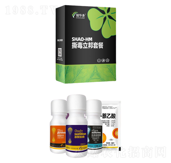 撕毒立邦套餐-韶華美