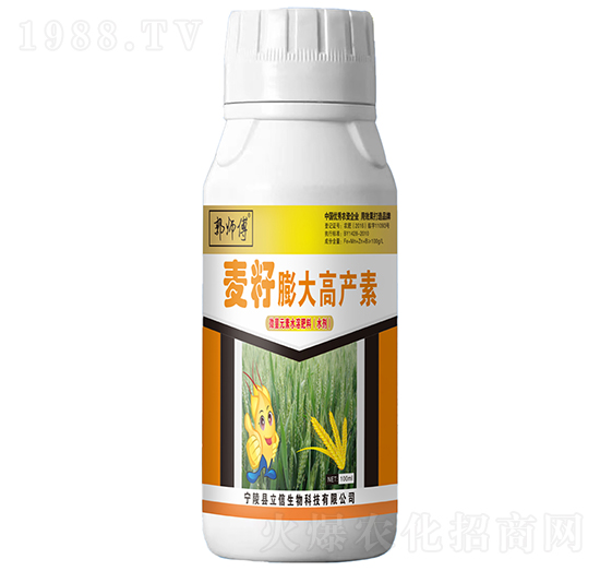 麥籽膨大高產(chǎn)素-郭師傅-立信生物