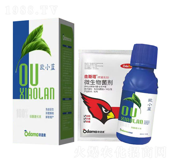 歐小藍(lán)-歐道麥