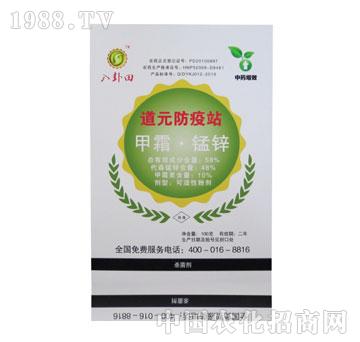 道元-道元防疫站