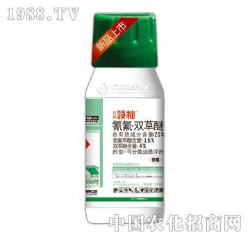 20%����p����-�I�i