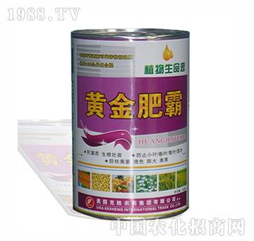 �S��ʰ�-�����r(n��ng)��