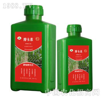 ����(j��)��ˎ������������Һ�ķ�-Ħ����-��(qi��ng)о���H