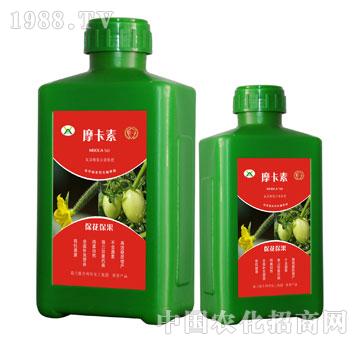 ������������������Һ�ķ�-Ħ����-��(qi��ng)о���H