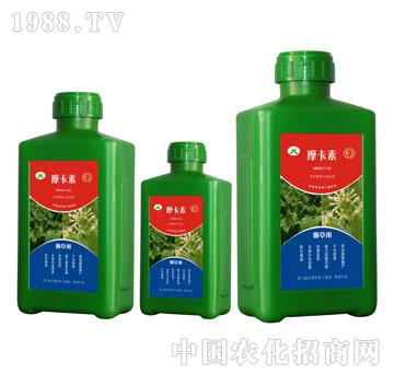 ���݌��ð���������Һ�ķ�-Ħ����-��(qi��ng)о���H