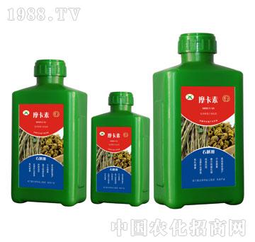 ʯ�����ð���������Һ�ķ�-Ħ����-��(qi��ng)о���H