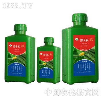 黃瓜專用氨基酸螯合液肽肥-摩卡素-強(qiáng)芯國(guó)際
