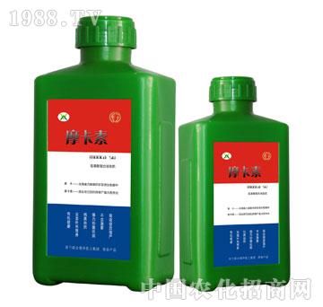 ����������Һ�ķ�-Ħ����-��(qi��ng)о���H