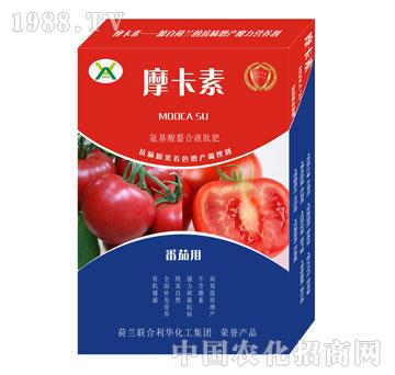 ���ь��ð���������Һ�ķ�-Ħ����-��(qi��ng)о���H