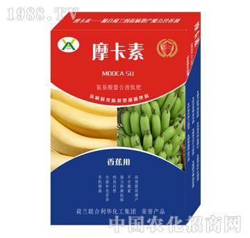 �㽶���ð���������Һ�ķ�-Ħ����-��(qi��ng)о���H