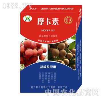 ��֦���ی��ð���������Һ�ķ�-Ħ����-��(qi��ng)о���H