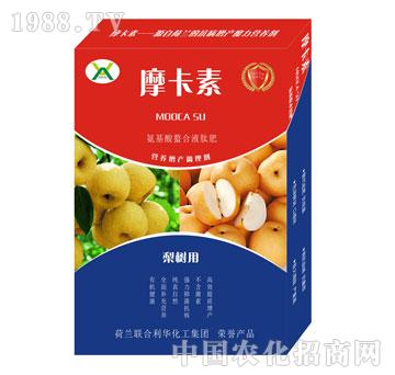 ��䌣�ð���������Һ�ķ�-Ħ����-��(qi��ng)о���H